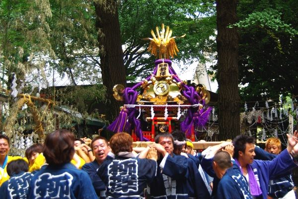 田無神社境内に入り込む柳沢津嶋神社神輿。09.07.12.
