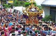 路地一杯に広がり担ぐ。09.08.30.