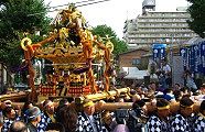 悢搨悭nłB09.08.23.
