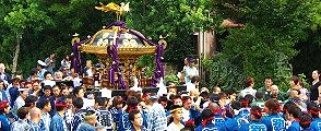 6年ぶりに存分に担ぐ担ぎ手達。09.09.13.