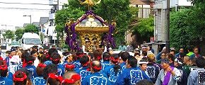 お膝元新宿睦は担ぎ待ち。09.09.13.