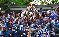 ƐΒiɓ荞ށB09.09.23.