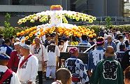 万灯花笠。09.09.13.