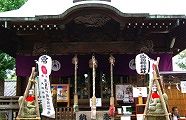 宮出し宮入衝撃の保護するキツネ。09.10.04.。09.10.04.