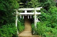 ひっそり佇む鳥居。09.10.04.