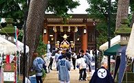 大木の松がみな斜めの参道。09.09.27.