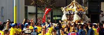総彫刻神輿と独特の飾房。09.10.11.