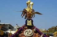 鳳凰の尾も独特。09.10.18.