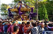 広い敷地で担ぎを楽しむ担ぎ手。09.10.18.