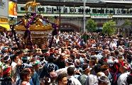 宮出し担ぎも興奮の坩堝と化した。'10.05.05.