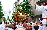 担ぎ手の元町会に木が入る。'10.05.23.