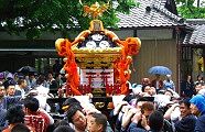 宮入で境内へ。'10.05.23.