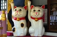社殿に今戸焼招き猫。'10.06.06.