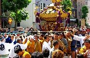 駒札は本宮。'10.06.06.