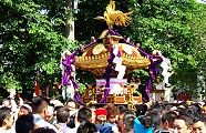 威勢よい清川氏子の担ぎ。'10.06.06.