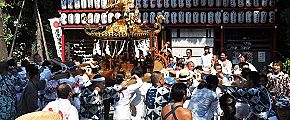 品川拍子に合わせた神輿揉み。'10.08.22.