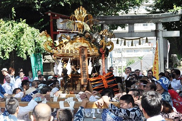 境内での行ったり来たりの激しい神輿揉み