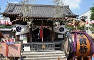 本殿内で留守番。'10.09.05.