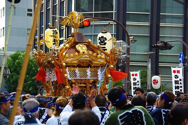 激しい神輿揉みに梨地色の唐破風屋根が輝く。'10.09.19.