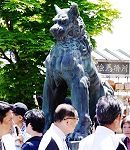狛犬の日本狼'16.05.08.