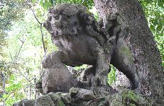 akasaka-hikawa2.jpg(16123 byte)