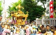 眩しいほどの朝日を浴びての渡御です。08.08.03.