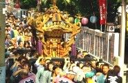 四年振りの担ぎ手も肩の入れ方心得ています。08.08.03.