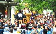宮入打ち止めの木頭が木を入れる。08.08.10.