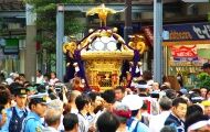 黄金色の胴が左右にくいくいと動く。08.08.10.