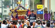 上野のお山を背後に木が入る。08.08.24.