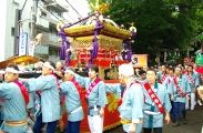 鬱蒼とした境内から宮神輿が顔を出す。08.08.24.