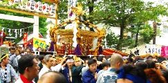 鳥居から飛び出す勢いの宮神輿。08.09.14.
