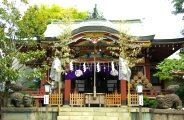 千住本氷川神社社殿。08.09.14.
