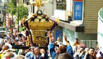 明治神宮西参道にもう少しで辿り着く。08.09.23.