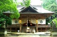 御旅所が主役で阿伎留神社は静寂。08.09.29.