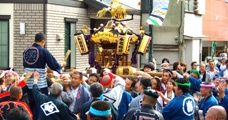 やっとお神酒所での休息の木です。08.09.23.