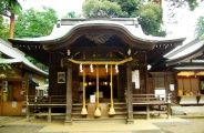 屋台の売り声と祭囃子が流れる境内。08.10.05.