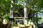 岡の上の鳥居そして参道が続く。08.10.05.