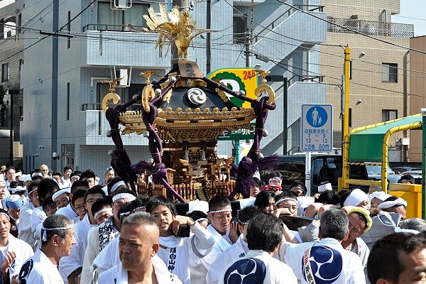 炎天下に負けぬ気合と熱気の本社神輿。'11.09.07.