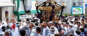 女神輿に負けじと気勢上げての渡御。'11.09.07.