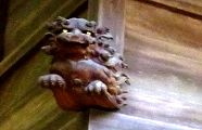 鋭い眼光の獅子頭。'11.09.04.
