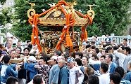 参道脇での神輿揉み。'11.09.11.