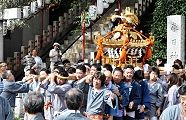 朝日浴びての宮出し。'11.09.11.