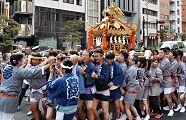 桜田通りで改めて渡御の木が入る。'11.09.11.