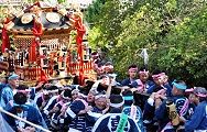 沈む担ぎ手は根性の我慢。'11.09.29.