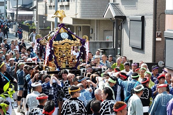 淡い朝日の逆光の中を金色に輝き担がれる宮神輿。'11.10.10.