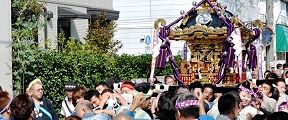 担ぎ手引き連れる柴又八幡宮神輿。'11.10.10.