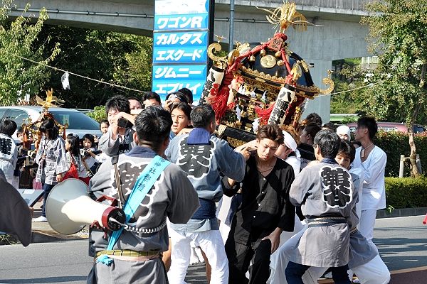 秋川街道の休息所での激しい神輿揉み。'11.09.29.
