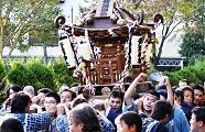 東参道を神社へ向け渡御。'11.10.16.