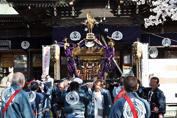 麗らかな春のこぼれ陽の中での宮出し。'12.04.08.